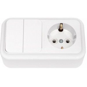 Выключатель двухклавишный + розетка с заземляющим контактом открытой установки 2В-РЦ-529 БелТИЗ